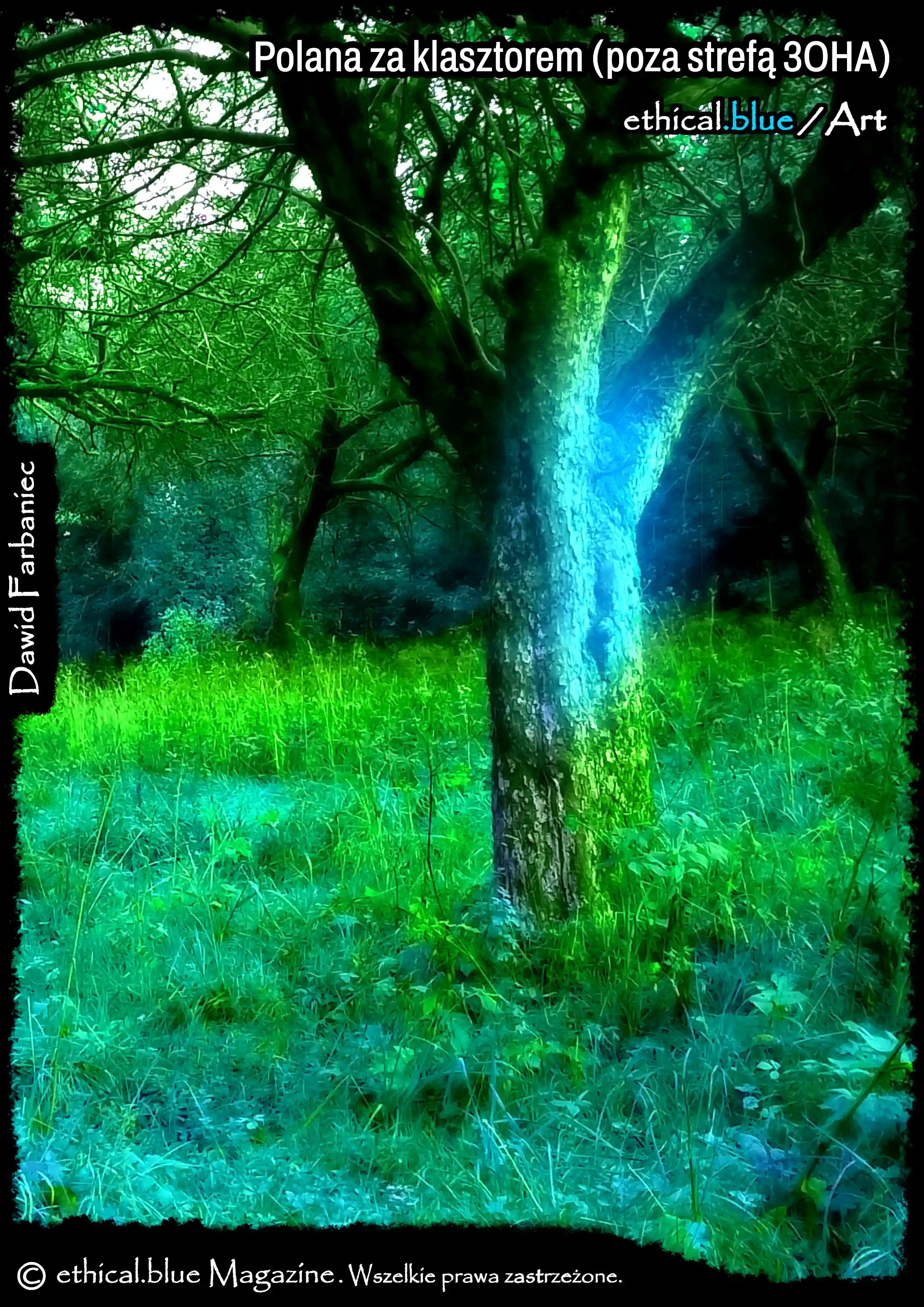 Polana za klasztorem (poza strefą 3OHA), Author: Dawid Farbaniec Polana za klasztorem (poza strefą 3OHA), Author: Dawid Farbaniec