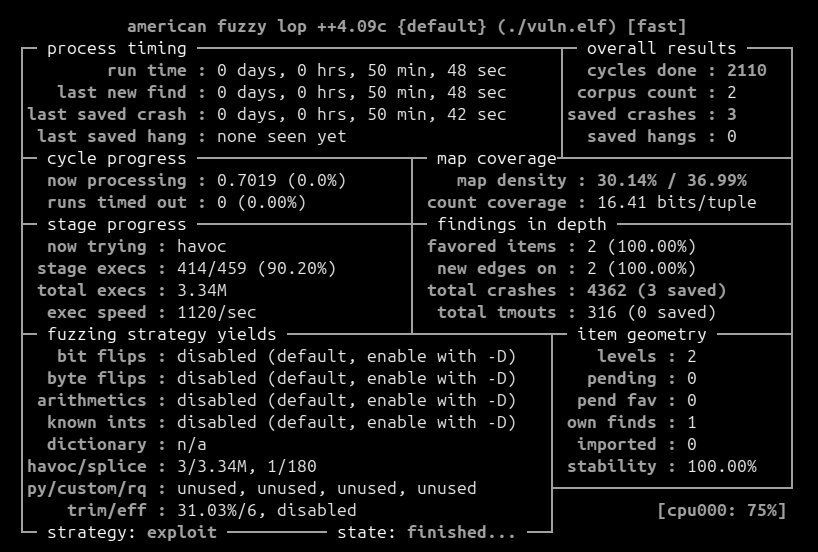 Narzędzie AFL++ podczas działania